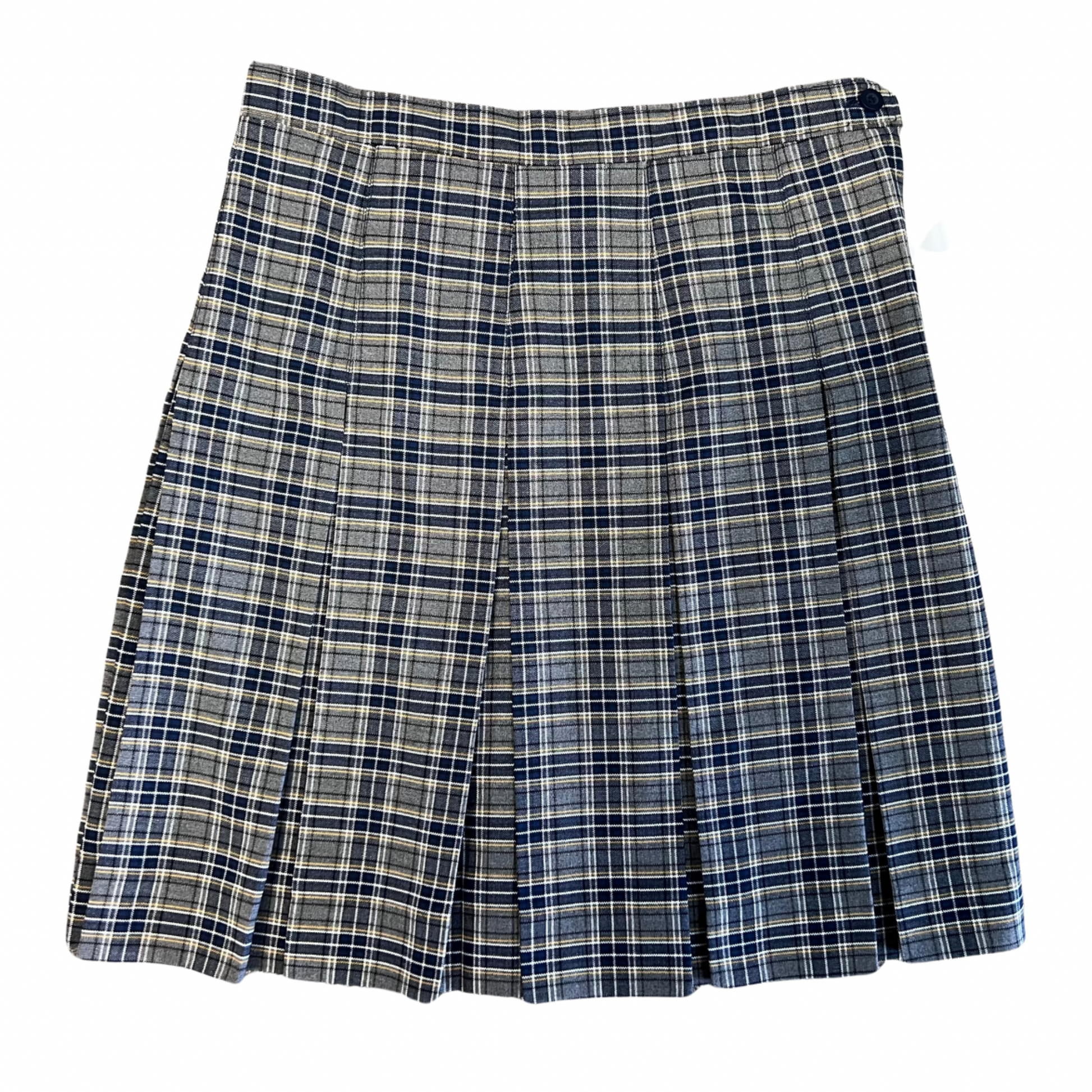 Girl's Pleated Skirt